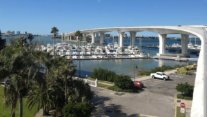 overlooking the bay in Clearwater